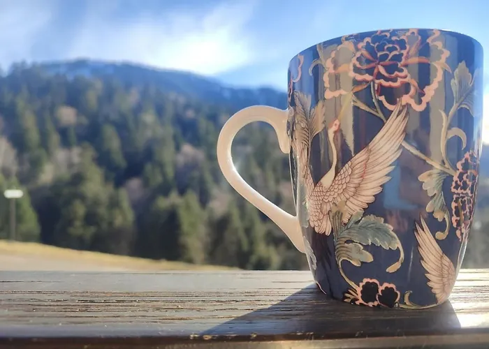 Milky Way - En Bas Des Pistes Du Mourtis Appartement Boutx