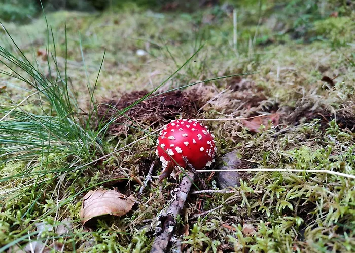 Milky Way - En Bas Des Pistes Du Mourtis * Boutx