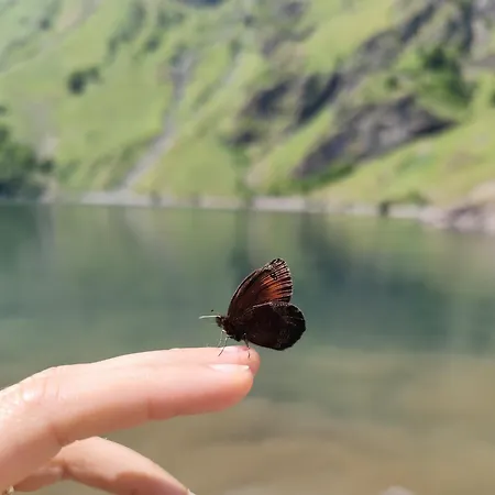 Milky Way - En Bas Des Pistes Du Mourtis Boutx