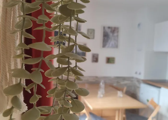 Apartment Milky Way - En Bas Des Pistes Du Mourtis Boutx